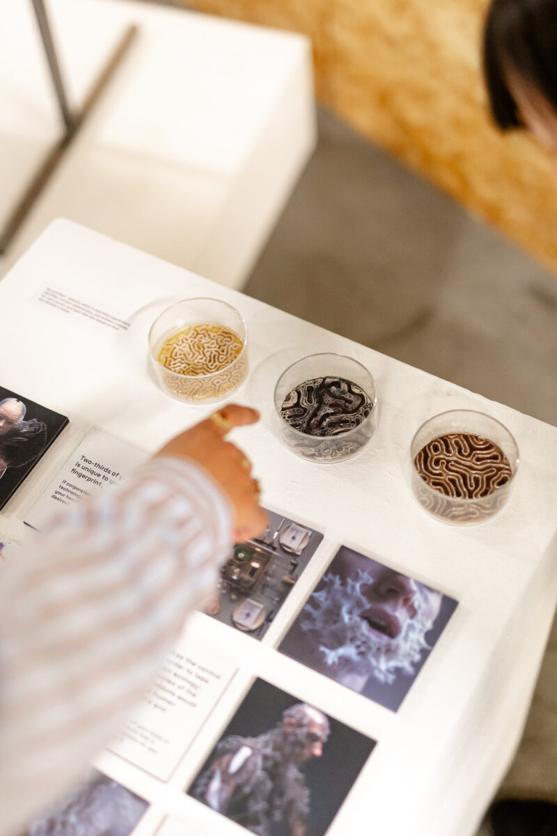 Keynote presentation Second Skin by Hazal Erturkan